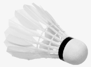 Badminton