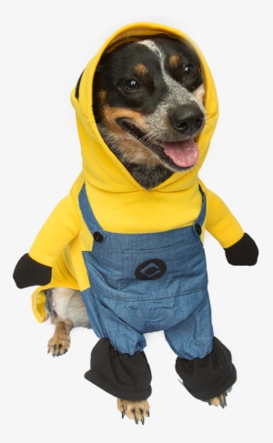 Best Purple Minion Costume For Dogs Images On Pinterest - Dog Costume Transparent