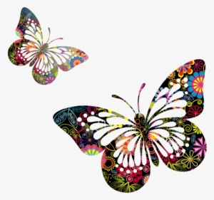 Butterflies Vector Png Picture - Monogramonline Inc. Pillow Case