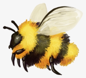 A Quick Fuzzy Bumblebee Friend - Bumblebee