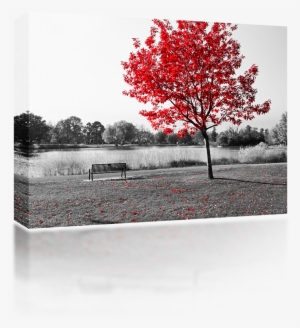 Red Tree Over Park Bench - Ghosts, Flames &amp; Ashes : Poems About Life