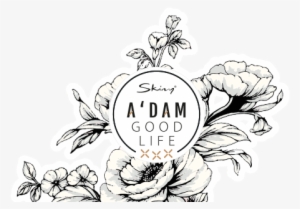 Adam-illstr - Illustration