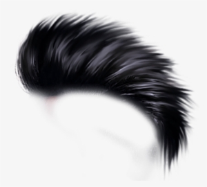 Free Png Hair Png Images Transparent - Hair Style Png Hd Transparent PNG -  850x742 - Free Download on NicePNG