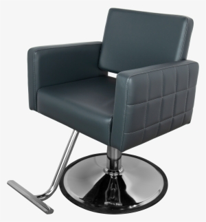 Gwyneth Grey Hair Salon Chair - Gwyneth & Grey