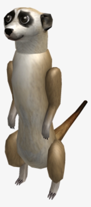 Meerkat Horde - Meerkat