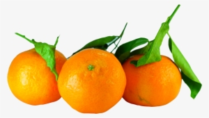 Tangerines With Leaves Png Image - Tangerines Png