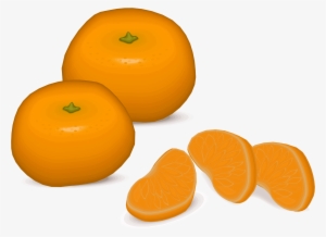 Open - Mandarin Orange Clip Art