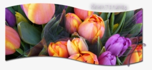 Easter Flowers Baltimore Cockeysville Towson - Baltimore