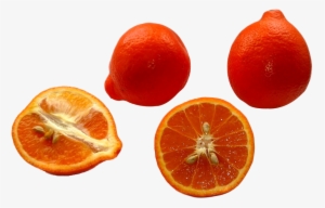 Minneola Tangerines Png Image - Tangelo