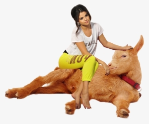Selena Having A Relaxing Goat Sit - Golden Guernsey