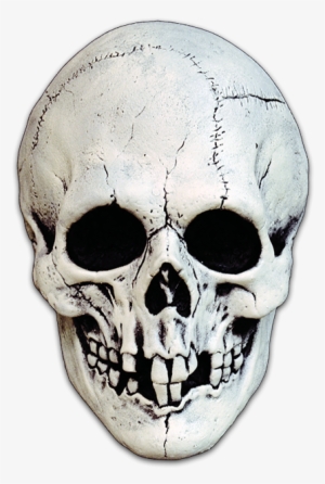 Nightowl Skull - White - Halloween Skull Mask Png