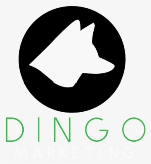 Dingo Marketing - Marketing