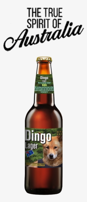 Dingo Lager Beer Bottle - Beer