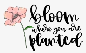 Bloom Where You Are Planted - Printable Bloom Where You Are Planted