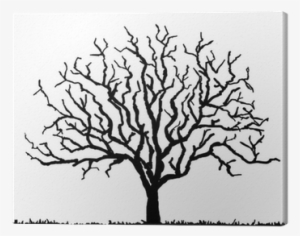 Download Black Tree Silhouette With No Leaves Vector Illustration Tree Silhouette With No Leaves Transparent Png 400x400 Free Download On Nicepng