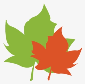 Leaf Pack Network® Is An Initiative Of Stroud™ Water - Maple Leaf