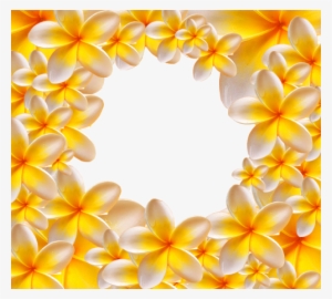 Photo Frame - Yellow Flowers - Ukrasni Okviri Za Tekst
