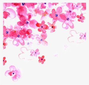 Hand Painted Pink Cherry Blossom Transparent Decorative - Women's Background