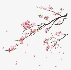 Blossom Trees, Cherry Blossom Tree, Pink Flowers, Botanical - Cherry Blossom Branch Png