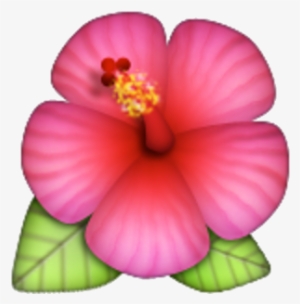 209kib, 640x480, Cb573298 Cf19 4681 A2f9 91688ce49dd1 - Hawaiian Flower Emoji Png