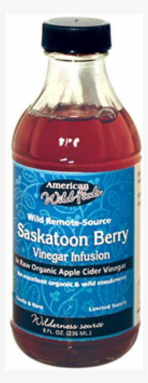 Wild, Raw Saskatoon Vinegar Infusion - Plastic Bottle