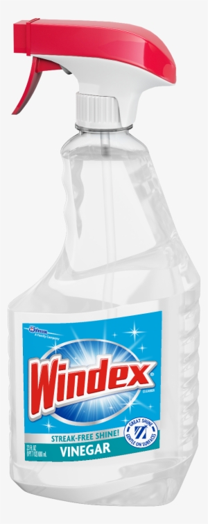 Windex Vinegar - Windex Bottle
