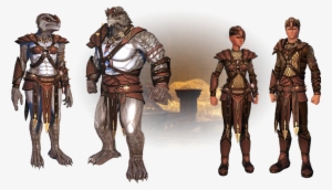 This And Neverwinter Models But You Can Clearly See - Dragonborn Neverwinter