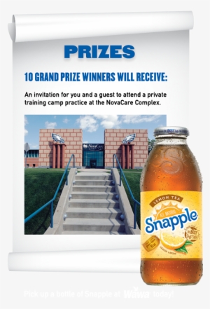 Sorry To Inform You That Snapple Fresh For Training - Snapple Lemon Tea - 12 Pack, 16 Fl Oz Bottles