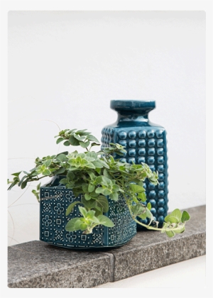 They Do Great Vases And Pots So You Can Display Your - Houseplant