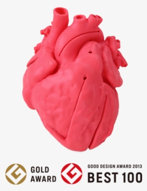 1 Incredibly Realistic Model Made From 100 Images - Ventricular Septal Defect