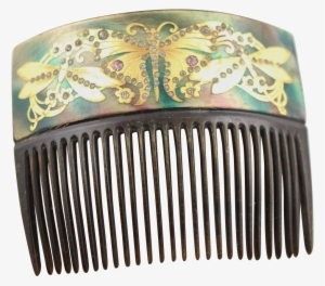 Victorian Hair Comb With Inlay Of 18k Gold Butterfly - Coffee Table