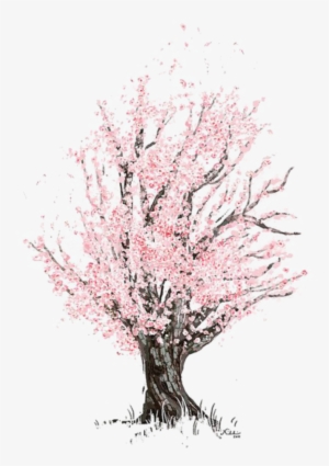 Mq Pink Tree Blossom Watercolor
