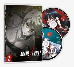 The Akame Ga Kill Collection 2 Limited Edition Premium
