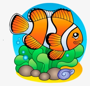 Pez Payaso - Finding Fish & Marine Life Coloring Book