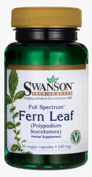 Swanson Full Spectrum Fern Leaf 240 Mg 90 Veg Caps - Full Spectrum 14 Mushroom Complex 60 Veg Caps By Swanson