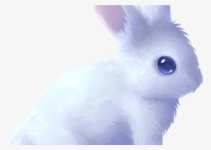 Rabbits Drawing Cute Animal For Free Download On Mbtskoudsalg - Drawing  Transparent PNG - 1368x855 - Free Download on NicePNG