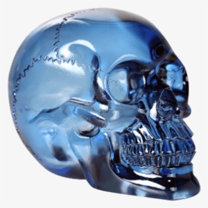 Translucent Blue Skull - Blue Collectibles And Figurines By Pacific Trading