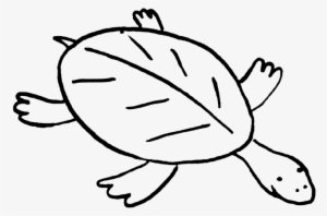 Turtle - Turtle Clip Art