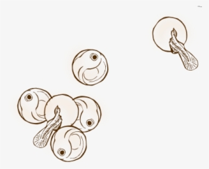 The Buried, Fertilized Eggs Develop And Undergo A Metamorphosis - Fish Egg Sketch