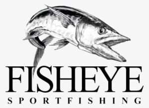 Brandon Has Years Of Experience As A Fishing Charter - Fisheye Sport Fishing Charters