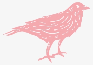 wc logo crow pink