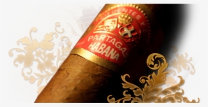 Partagas Cuban Cigar Brand - Caffeinated Drink