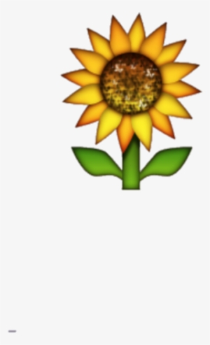 Transparent Background Sunflower Emoji