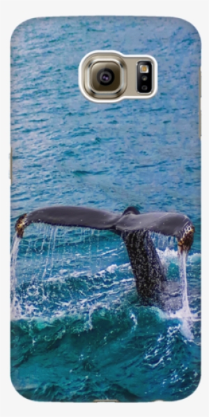 Whale Tail Samsung Galaxy 3d Hard Case - Humpback Whale