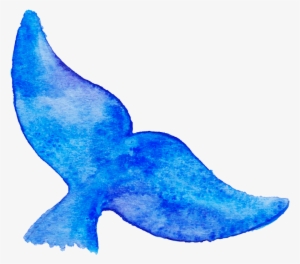 Reality Check - Whale Tail Drawing