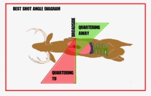 Deer Shot Angle Overhead - Bow And Arrow
