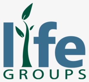 Hand Code Foundation - Infonet Logo