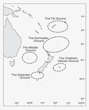 Concentrations Of Sperm Whales Around New Zealand Waters - Diagram