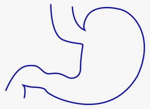 Intestines Clip Art - Clip Art