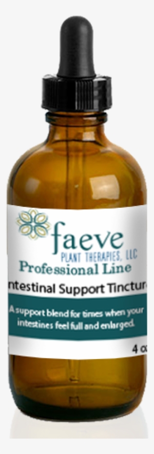 Intestinal Support Herbal Tincture 4oz - Watts Beauty Argangold - 100% Certified Pure Argan